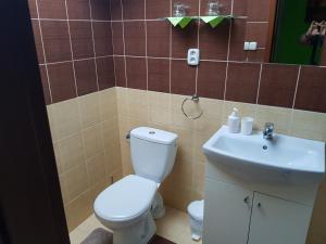 La salle de bains est pourvue de toilettes et d'un lavabo. dans l'établissement Ubytovanie House, à Galanta