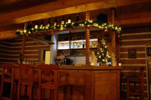 Lounge nebo bar v ubytování Penzion Čistá