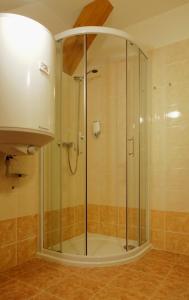a glass shower in a bathroom with a sink at Penzion Čistá in Cerny Dul