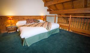 Postel nebo postele na pokoji v ubytování Lautaret Lodge & Spa