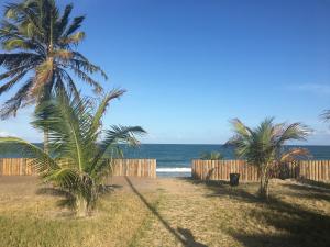 Naturlandskabet i nærheden af lejligheden