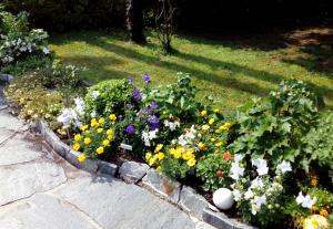 Gallery image of Apartment Casa Thuja in Ascona