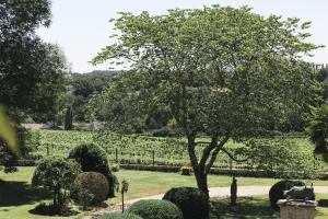 Gallery image of Gîtes du Château de la Ligne in Lignan-de-Bordeaux