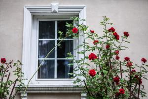 okno z czerwonymi różami przed nim w obiekcie Dwór w Odonowie w mieście Odonów