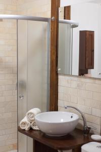een badkamer met een wastafel en een glazen douche bij Casa Gozna in Văliug