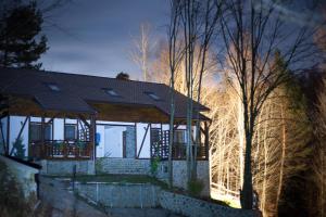 a house with a gazebo in the woods at Casa Gozna in Văliug