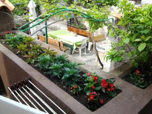 Zahrada ubytování Apartment Mira
