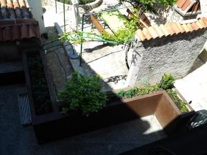 Zahrada ubytování Apartment Mira