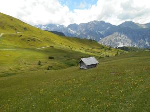 a small cabin in a field of green grass at Apartments Jäger in Trins