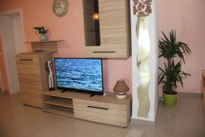 Telewizja i/lub zestaw kina domowego w obiekcie Vacation house "Viola"