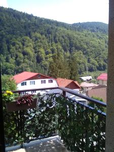 a balcony with a view of a mountain at Studio Lalelelor in Sinaia