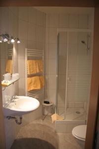 a bathroom with a sink and a shower and a toilet at Hotel Wettin in Treuen
