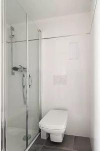 布拉格的住宿－布拉格洛夫利公寓，一间带卫生间和玻璃淋浴间的浴室