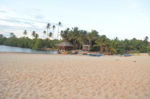 una playa con palmeras y una cabaña en ella en Lonely Beach Resort Tangalle, en Tangalle