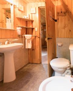 a bathroom with a white toilet and a sink at Cabañas Niuke & Apart Fraschetti in El Bolsón
