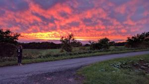 Blick auf den Sonnenuntergang/Sonnenaufgang von der Pension aus oder aus der Nähe