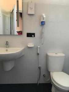 a bathroom with a toilet and a sink and a mirror at Lemazone Inn in Mirissa