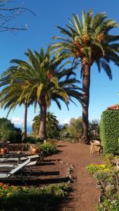 Jardín al aire libre en Casa Palmera