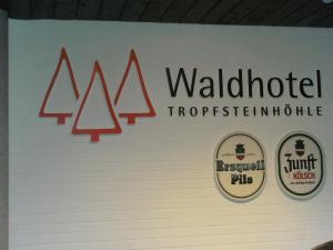 Afbeelding uit fotogalerij van Waldhotel Tropfsteinhöhle in Wiehl