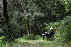 a woman sitting on a bench reading a book at Can Barrina in Montseny