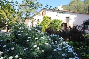 a garden with blue and white flowers in front of a house at Can Barrina in Montseny