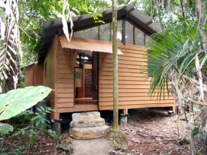 a small wooden house in the middle of a forest at Rainforest Hideaway in Cape Tribulation