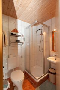 a bathroom with a shower and a toilet and a sink at Haus Taumberger in Sankt Jakob in Defereggen