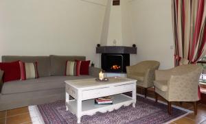 a living room with a couch and a fire place at Zaggou Apartments in Amfikleia