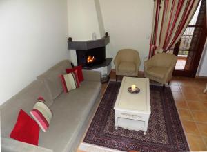 a living room with a couch and a fireplace at Zaggou Apartments in Amfikleia