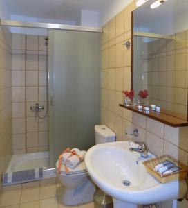 a bathroom with a sink and a toilet and a shower at Zaggou Apartments in Amfikleia