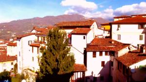 eine Gruppe von Gebäuden in einer Stadt mit einem Baum in der Unterkunft Casa Cordati in Barga