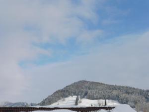 einen schneebedeckten Hügel mit einem Berg im Hintergrund in der Unterkunft Grün und herzlich in Oberstaufen
