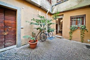 ローマにあるCaratteristico appartamento a Piazza Navonaの鉢植えの建物の隣に駐輪場
