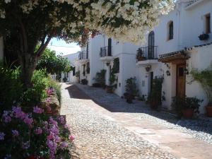 a street with white buildings and flowers on the side at El Capistrano Sur in Nerja