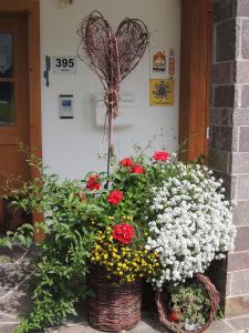 Vonkajšia záhrada v ubytovaní Appartements Karin Mitten im Grünen