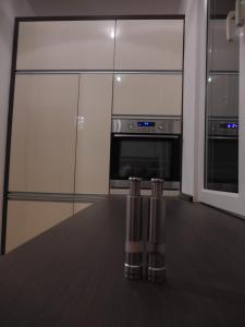 Kuchyň nebo kuchyňský kout v ubytování Apartament Aesthetic