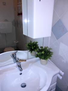 ロゾリーナ・マーレにあるApartment in Rosolina Mare 31048のバスルーム(鉢植えの植物2本が置かれたシンク付)
