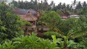a house with a thatched roof in the jungle at Obama House Ubud in Ubud