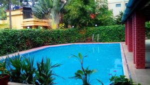 a blue swimming pool in a yard with plants at Sopanam Heritage in Guruvāyūr