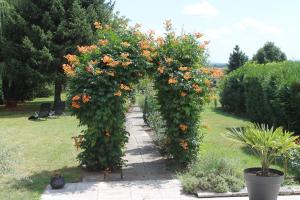 Zahrada ubytování Les Laurentides