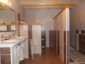 ein Bad mit einem Waschbecken und einer Dusche in der Unterkunft A La Mare du Vieux Chêne in Bellegarde-Poussieu