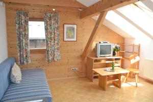 ein Wohnzimmer mit einem blauen Sofa und einem TV in der Unterkunft Haus H.O.F. in Ramsau am Dachstein