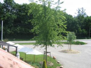 Gallery image of Hôtel Barbier des Bois in Bruailles