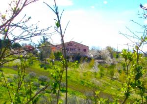 Zahrada ubytování Il Rifugio dell'Ape Agriturismo
