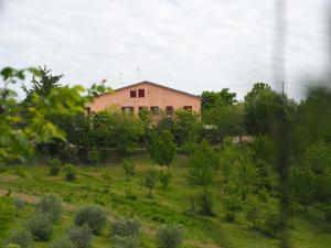 Příroda nedaleko bed and breakfast