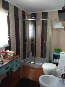 een badkamer met een douche, een toilet en een wastafel bij Quarto privado Alentejo Litoral in Grândola
