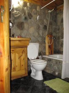 a stone bathroom with a toilet and a bath tub at Paraiso Bariloche in San Carlos de Bariloche +38 photos