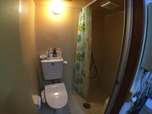 een kleine badkamer met een toilet en een douche bij Kenroku Haitsu 202 in Kanazawa