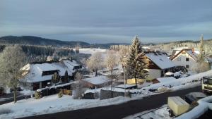 Fotografie z fotogalerie ubytování Appartement Sonnenwinkel C37 Haus Feldbergblick v destinaci Lenzkirch