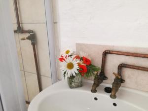
a bathroom sink with a vase of flowers in it at Sandriver Lodge in St Francis Bay

